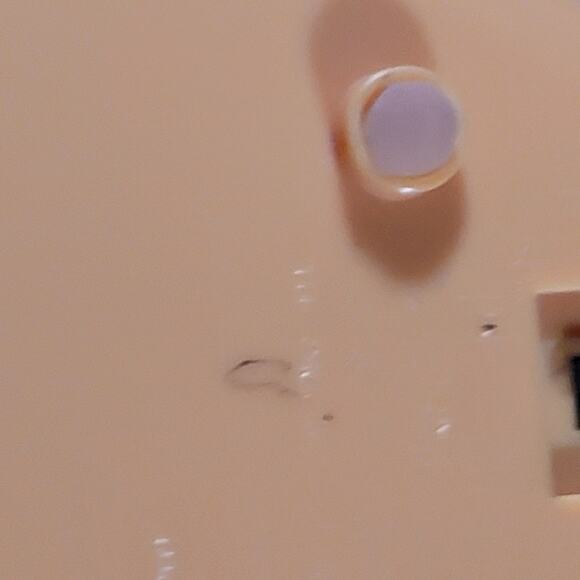 The Original Talking Cheeseburger Condiment Holder - Picture 6 of 7